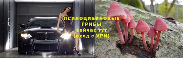 мяу мяу мука Алексин