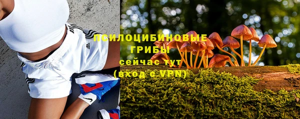мяу мяу мука Алексин