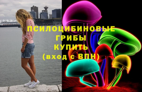 не бодяженный Алзамай