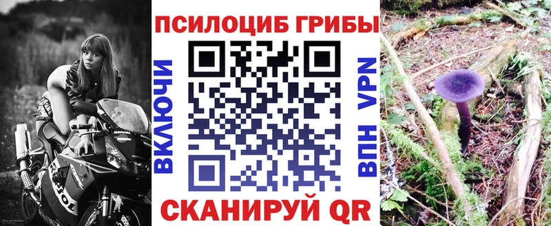 Псилоцибиновые грибы Magic Shrooms  Печоры 